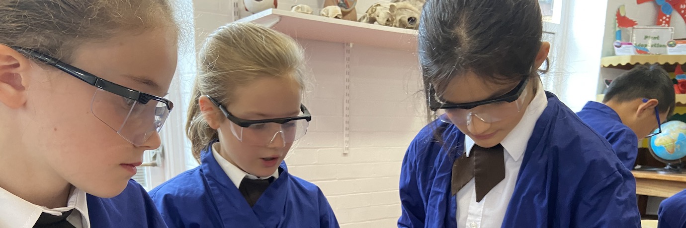 Pownall Hall School